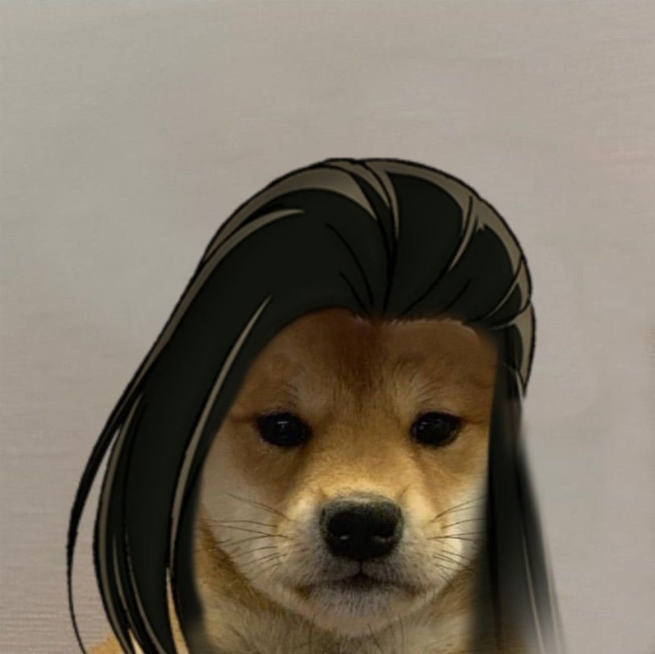 Собака Хорни Бонк