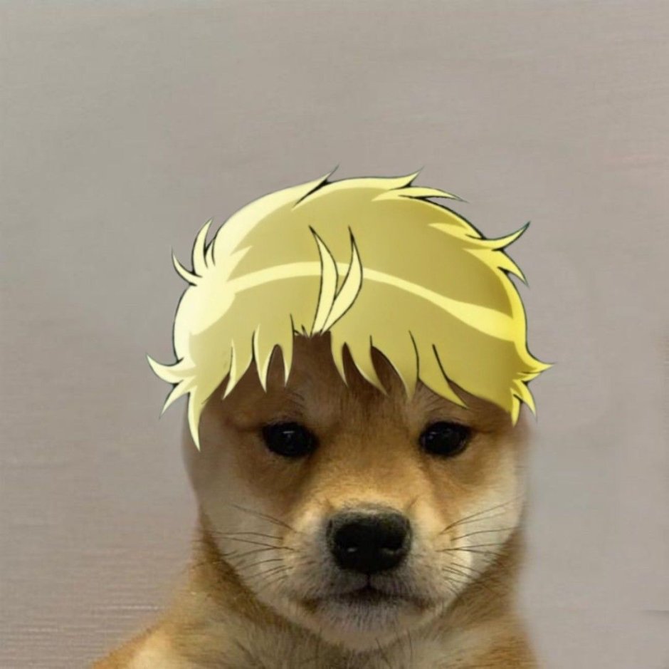 Джотаро на аву