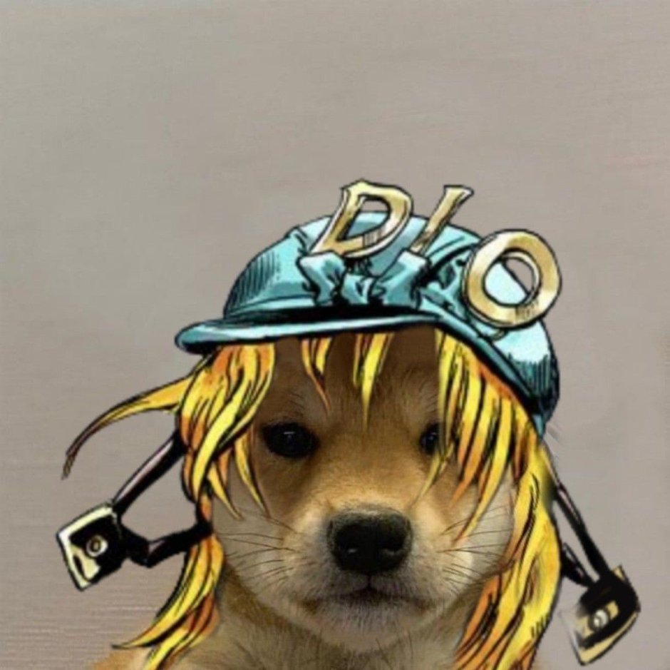 Собака Джо Джо ава