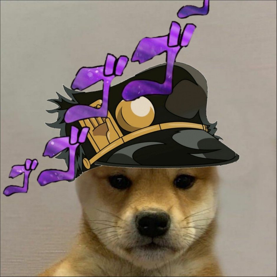 Кот Джо Джо ава