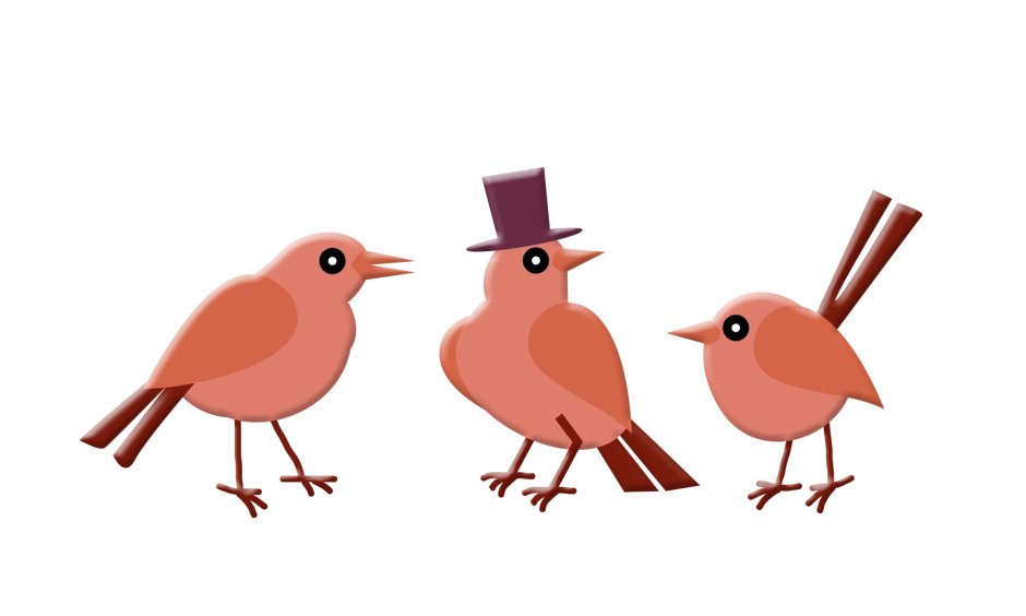 Птичка Пичужка фотографии