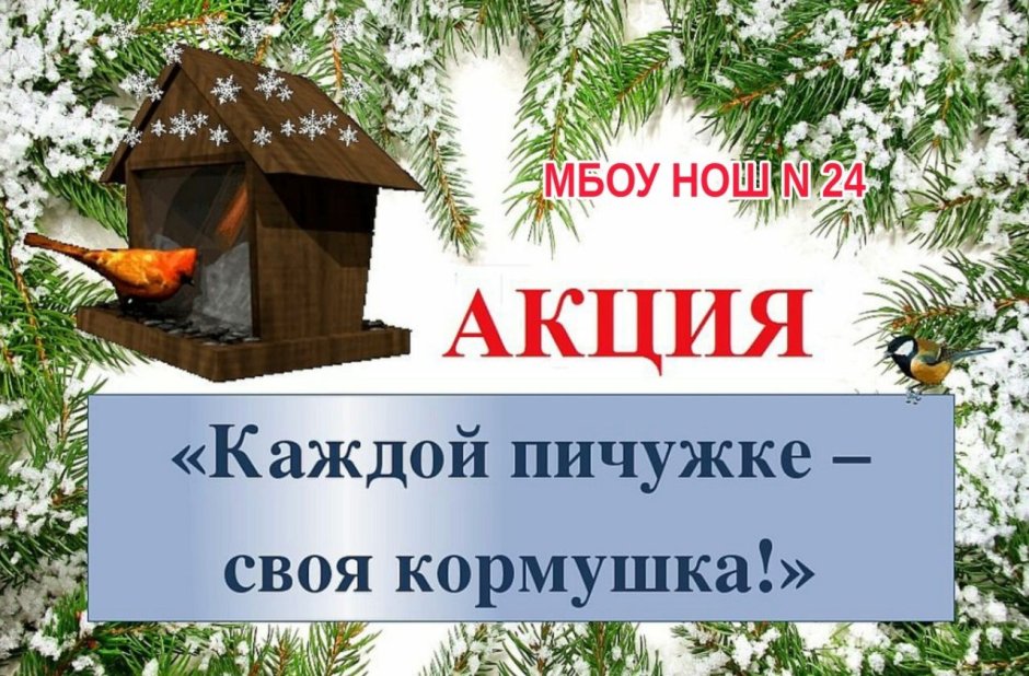 Канарейка смешная