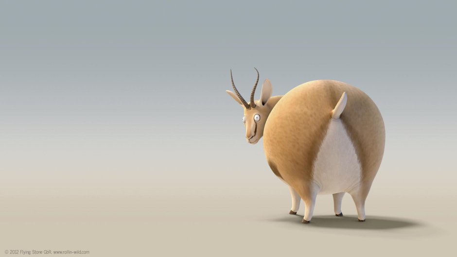 Парк Крюгера гепарды