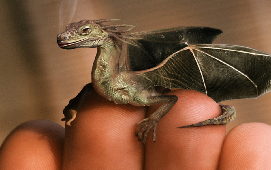 Дракон Норберт