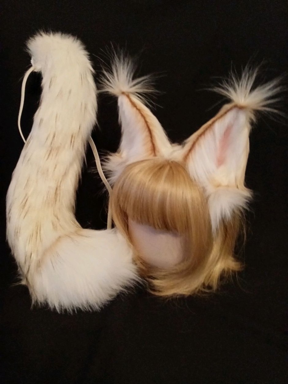 Как понять кота по хвосту