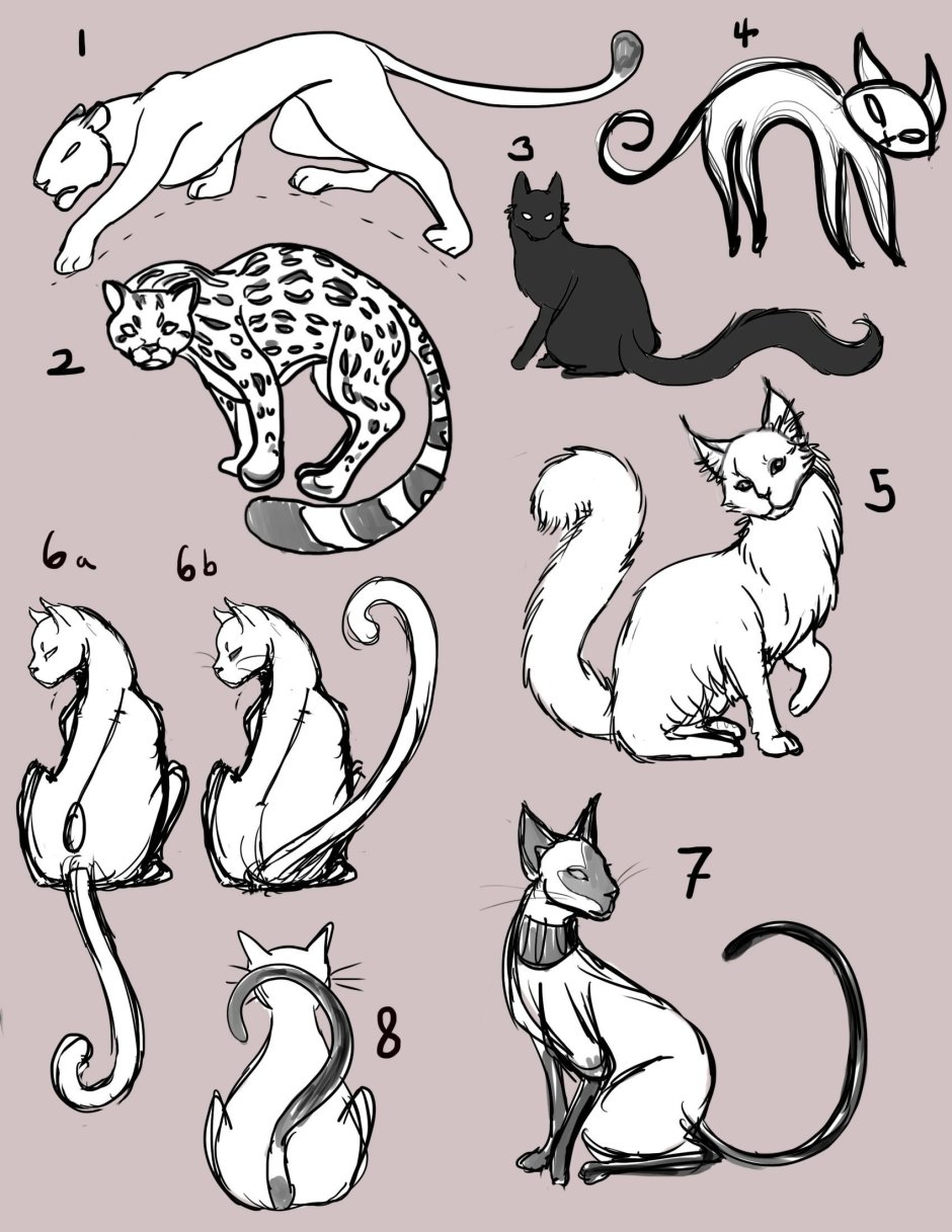 Лисий хвост референс