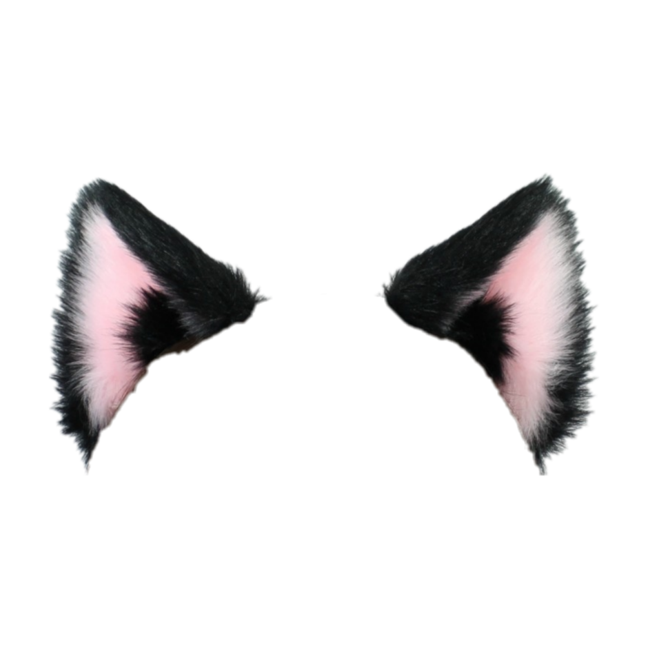 Положение хвоста кота