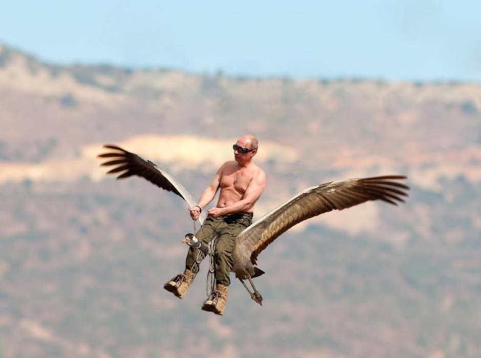 Путин полет со стерхами