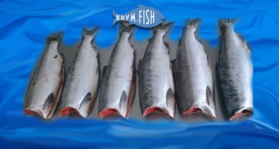 Кижуч свежемороженый