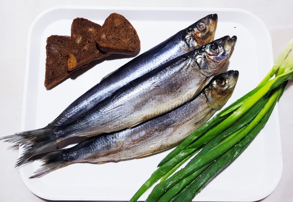 Атлантическая сельдь, скумбрия,рыба