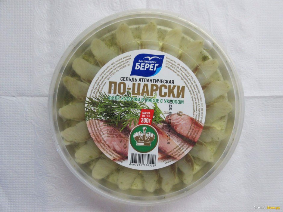 Стая атлантической сельди