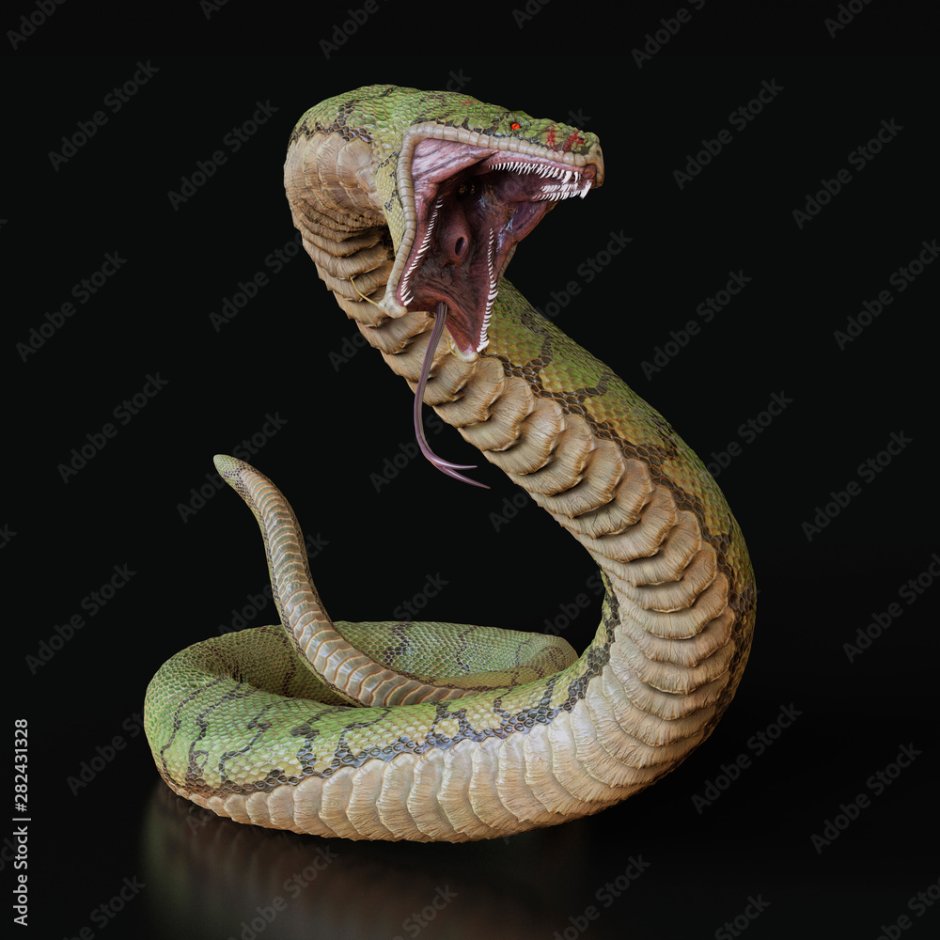 Snake with open mouth 3d