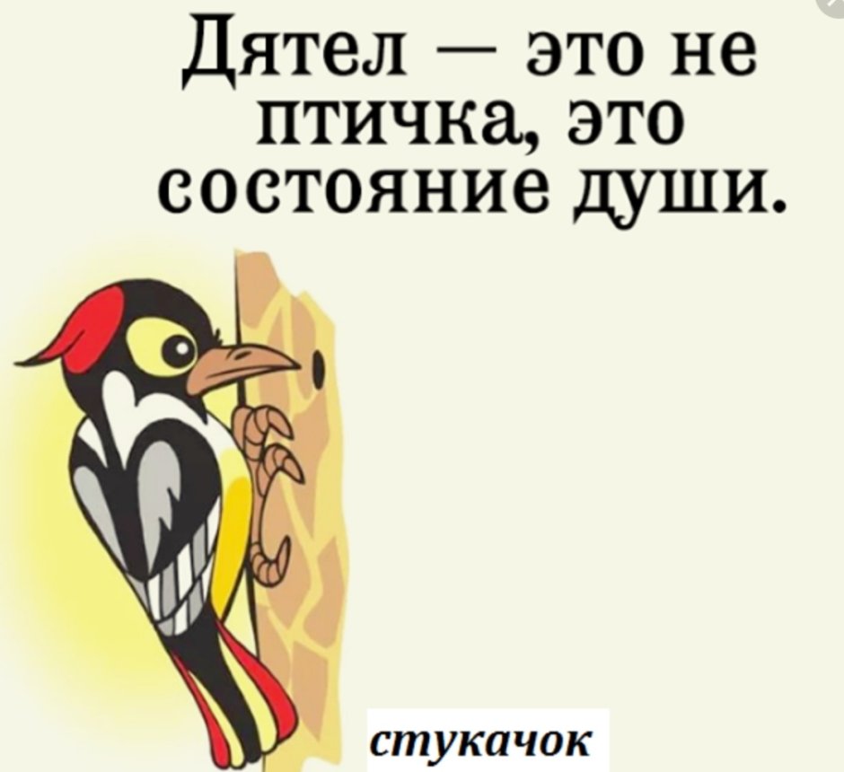 Дятел на снегу