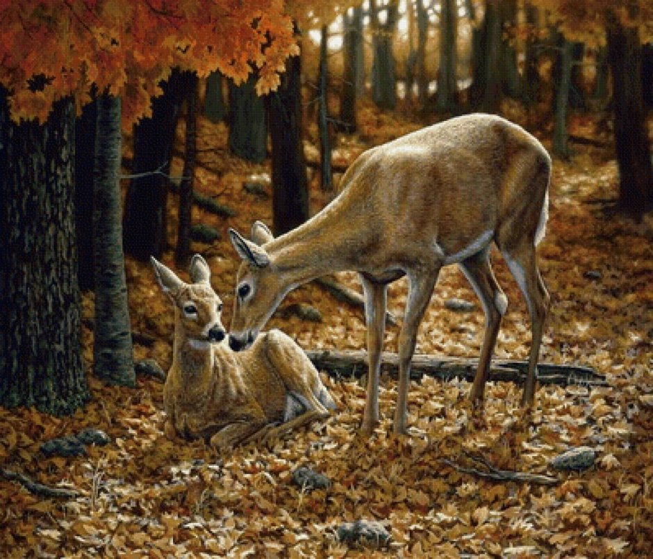Американская художница Crista Forest