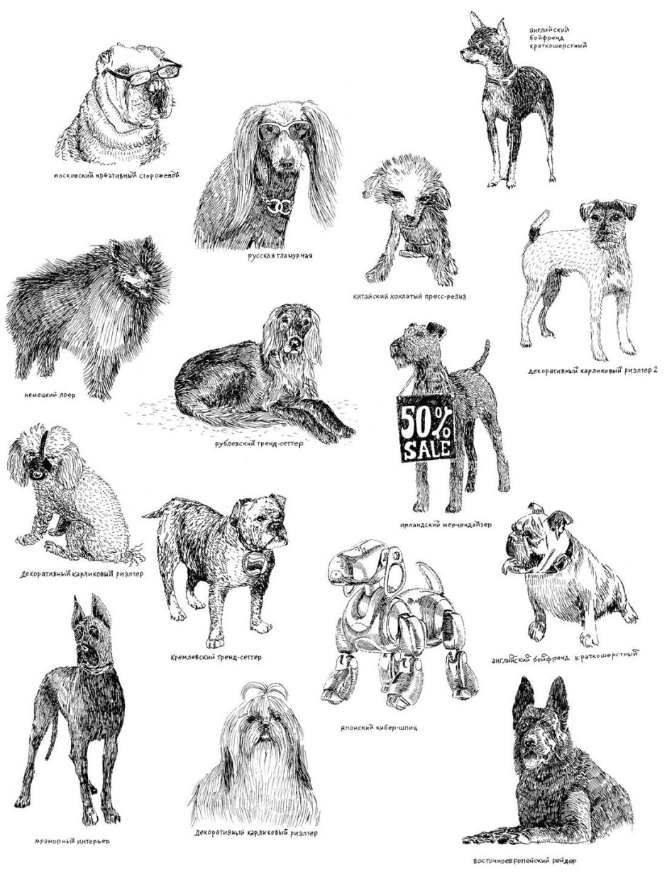 Барбоскины какие породы собак