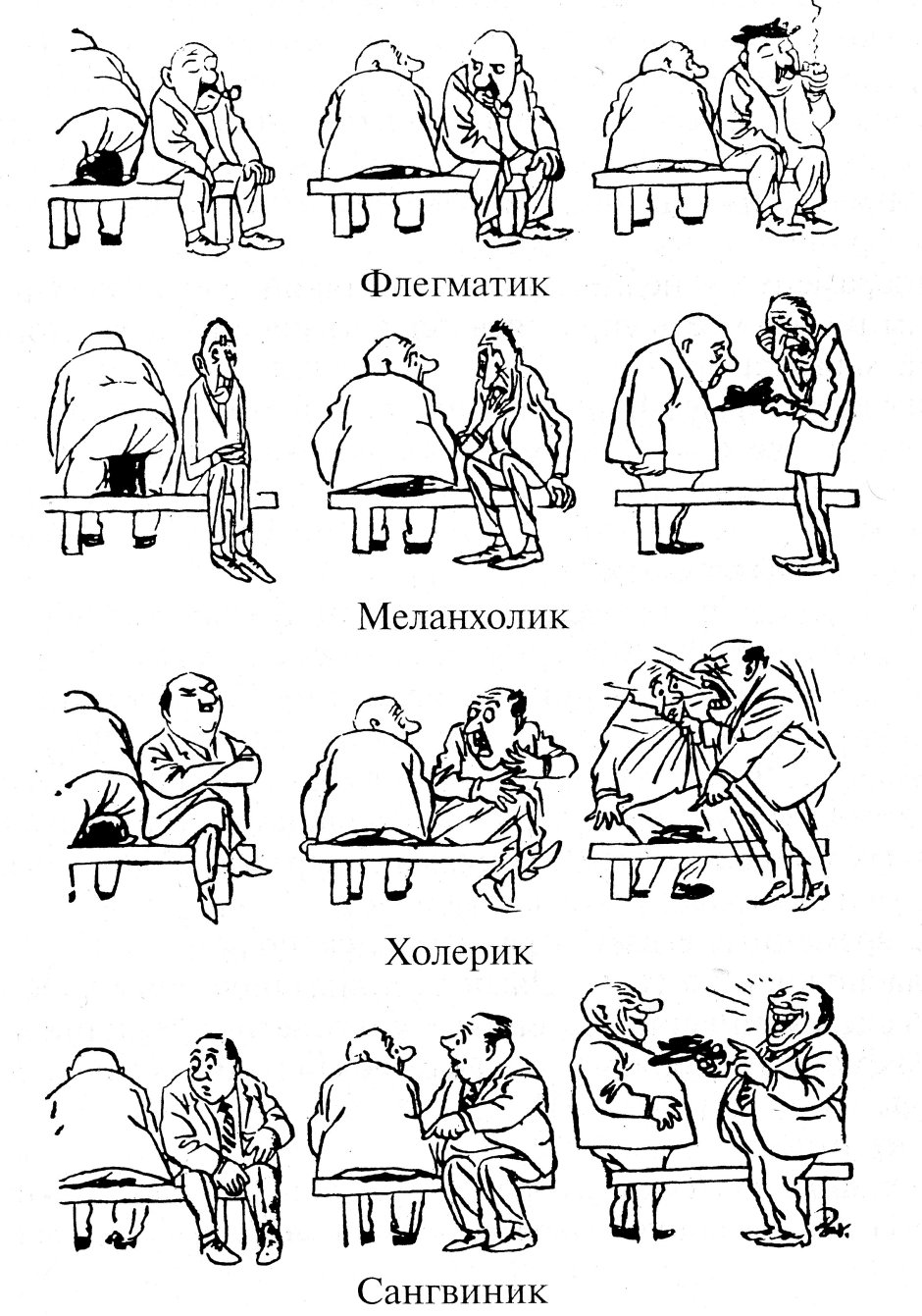 Тигровый бордер колли