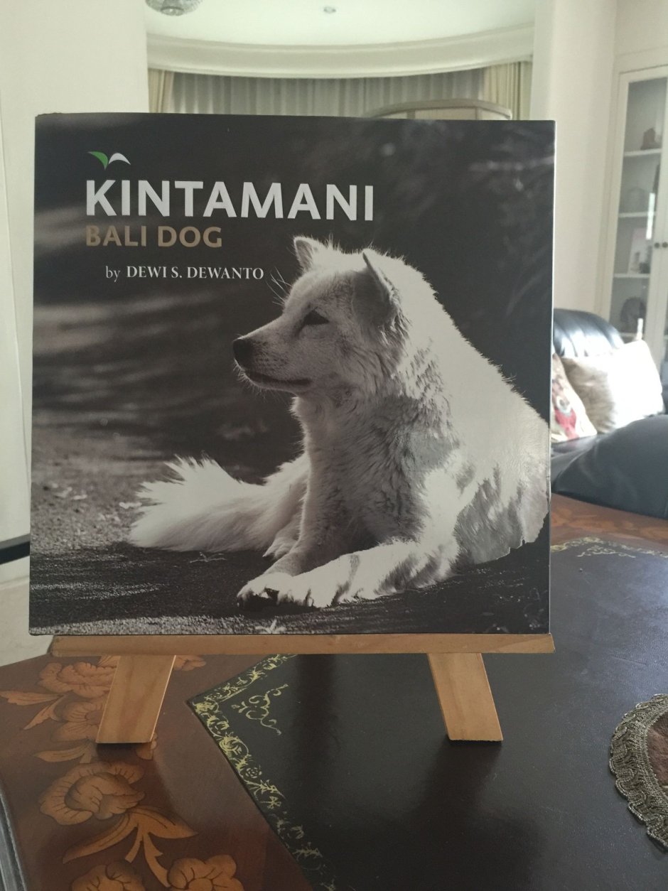 Kintamani Dog
