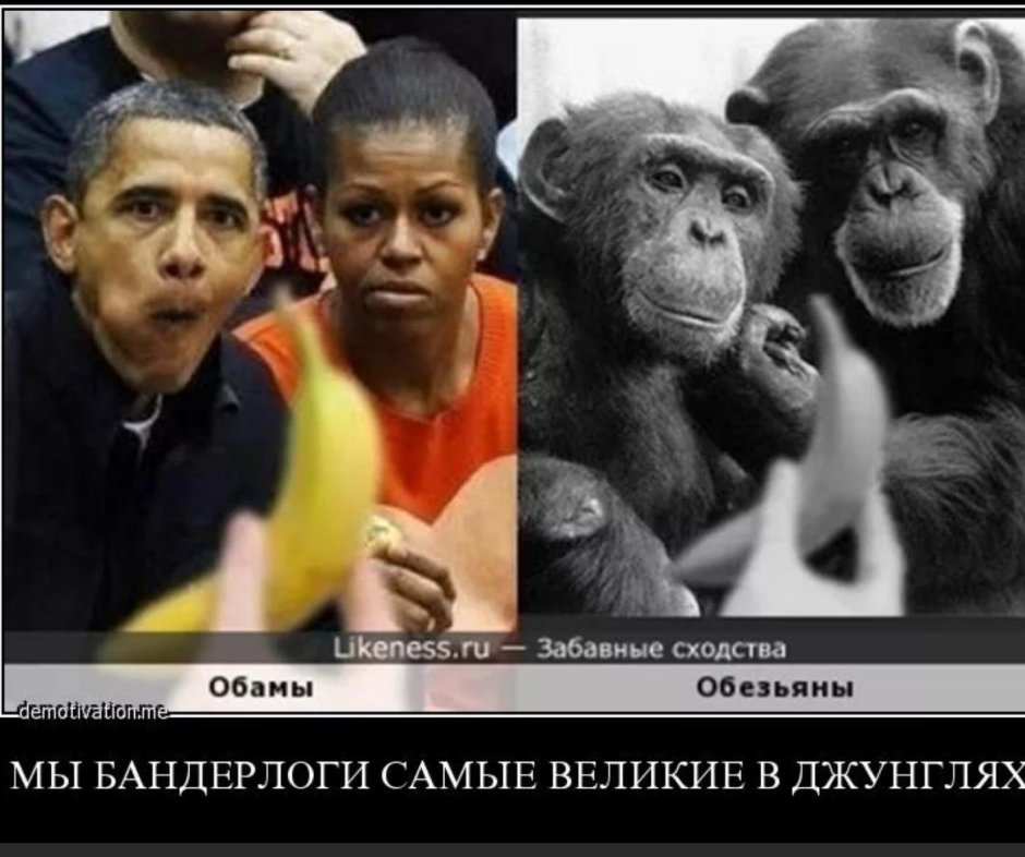 Человек произошел от обезьяны прикол