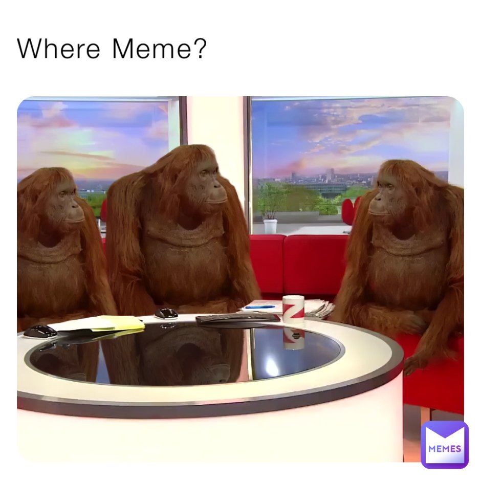 Гориллы дерутся