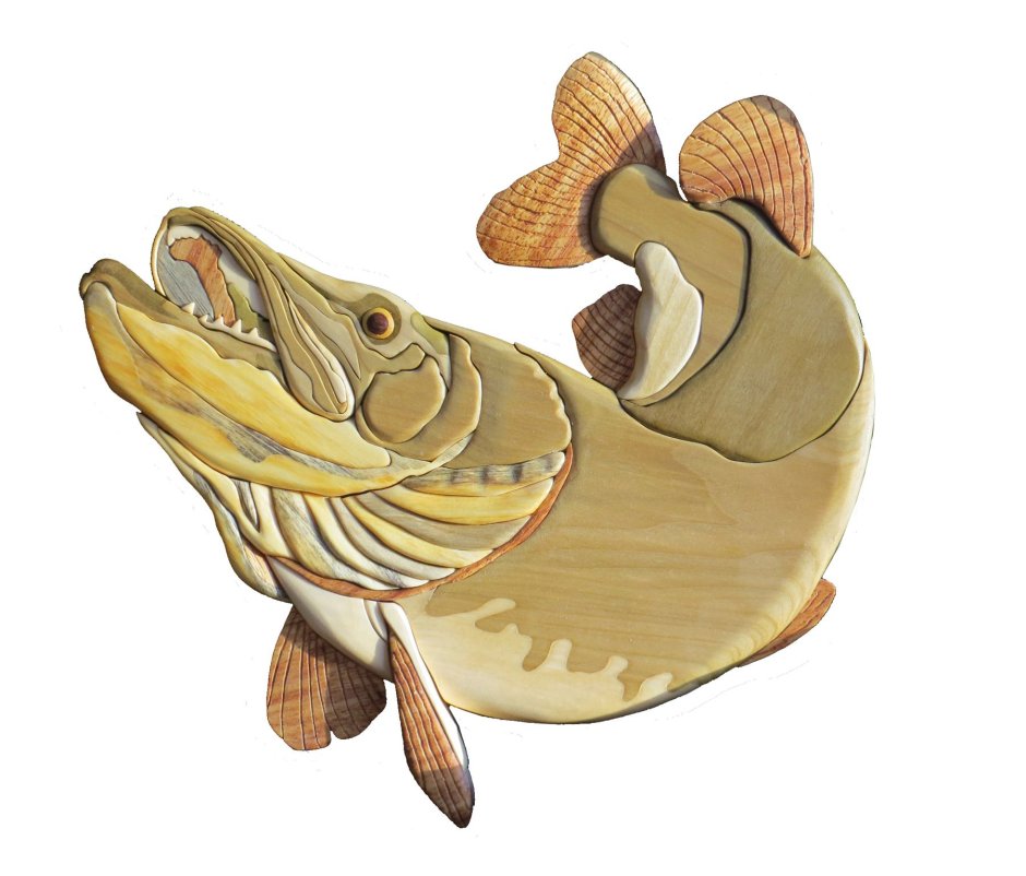 Морда щуки