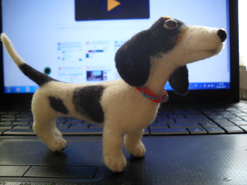 Собака такса рыжая