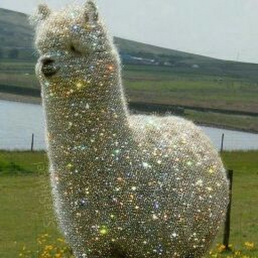 Сверкающая лама