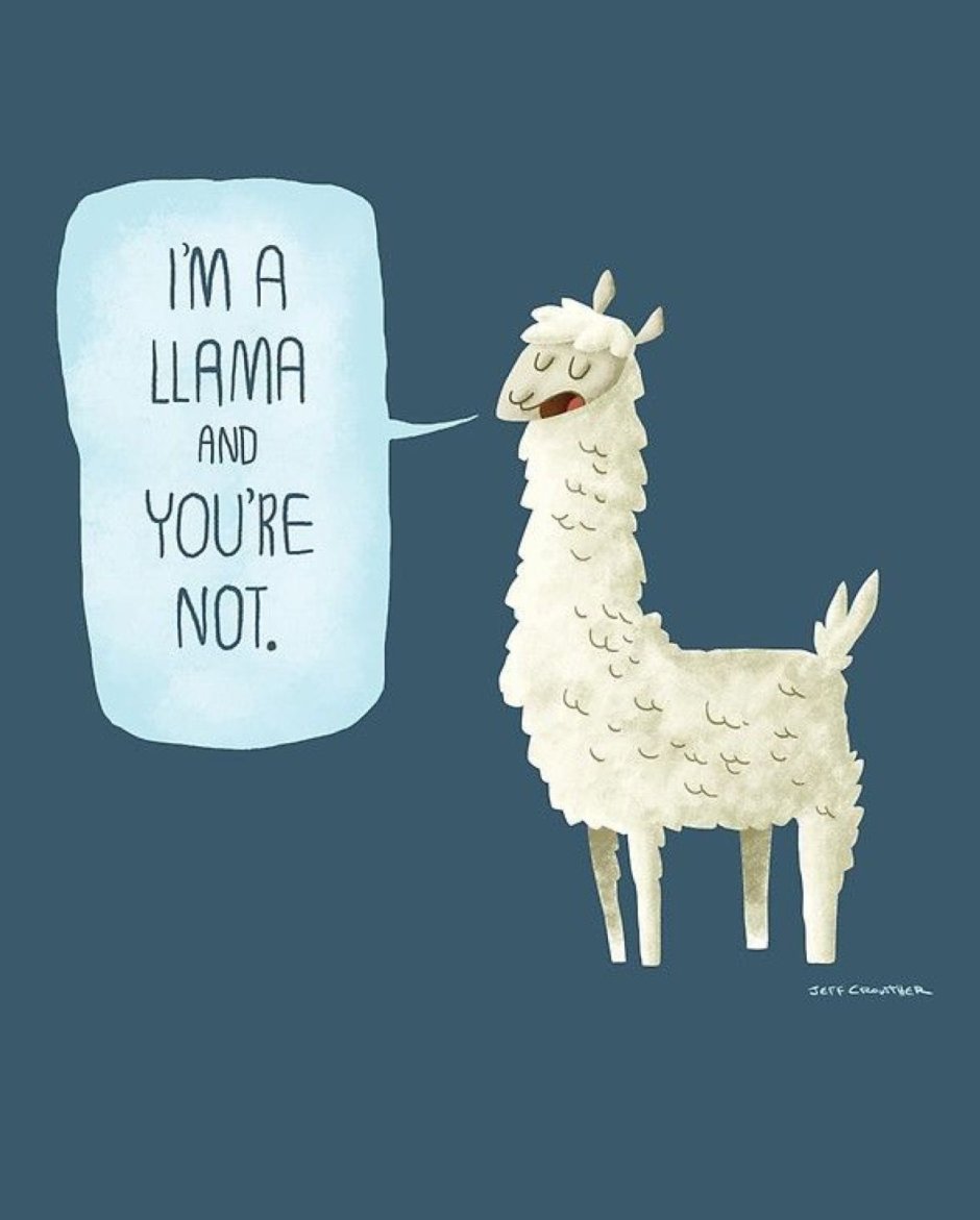 Смешная альпаки рисунок