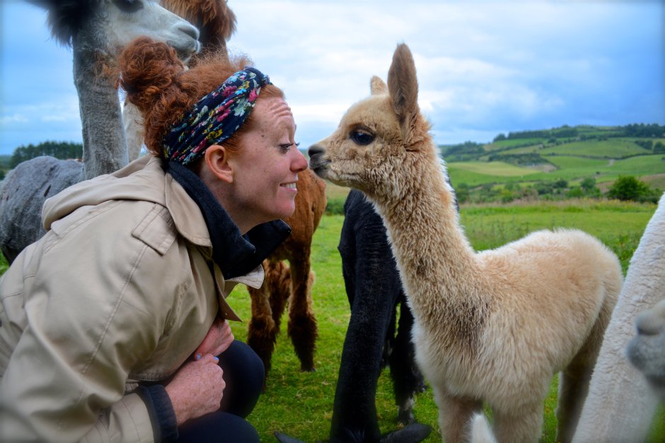 Лама и человек