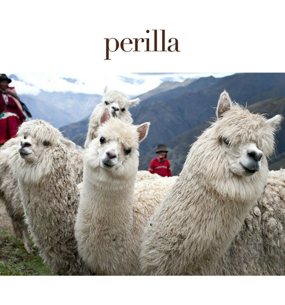 Перу лама альпака