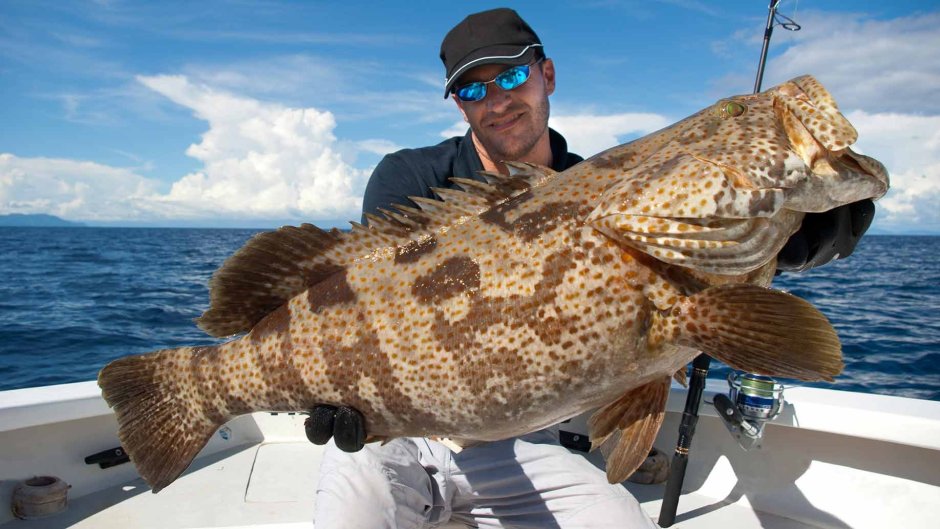 Flies for Sunfish