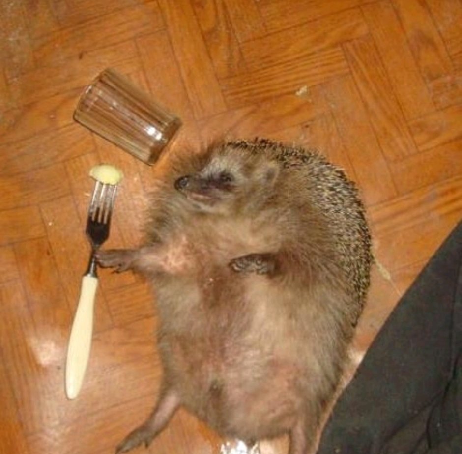 Пьяный Ежик