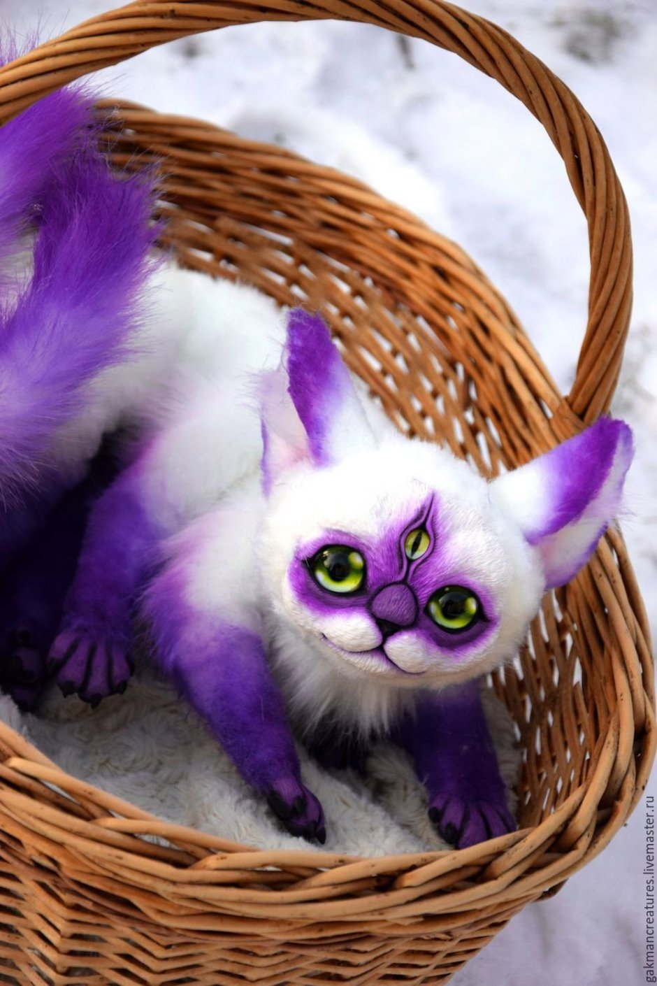 Фиолетовый котенок