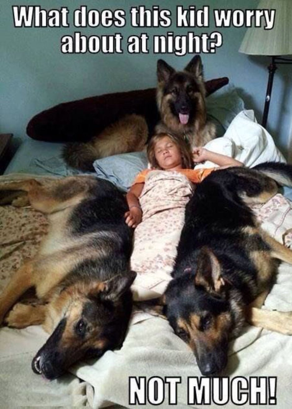 Злая собака не кусается