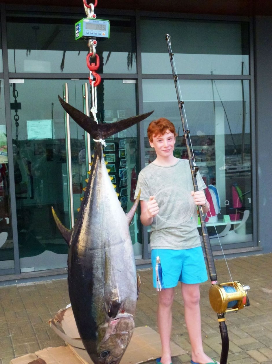 Тунец Bigeye