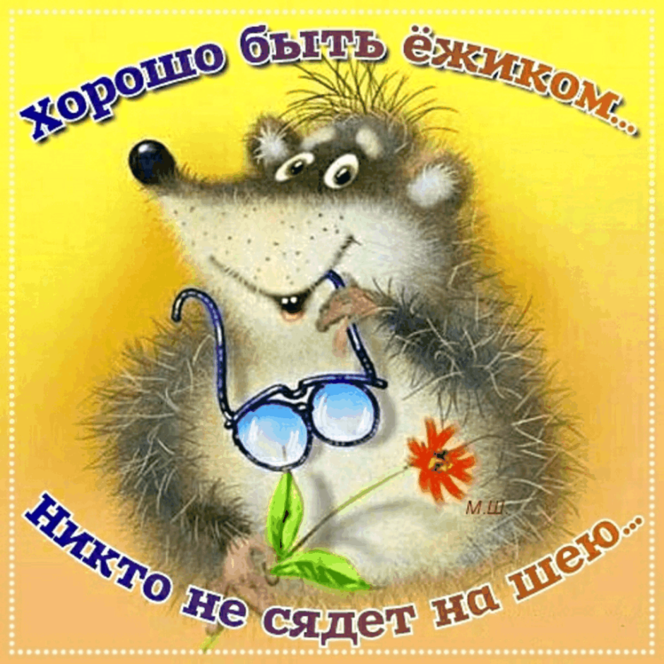 Открытки с Ёжиками прикольные