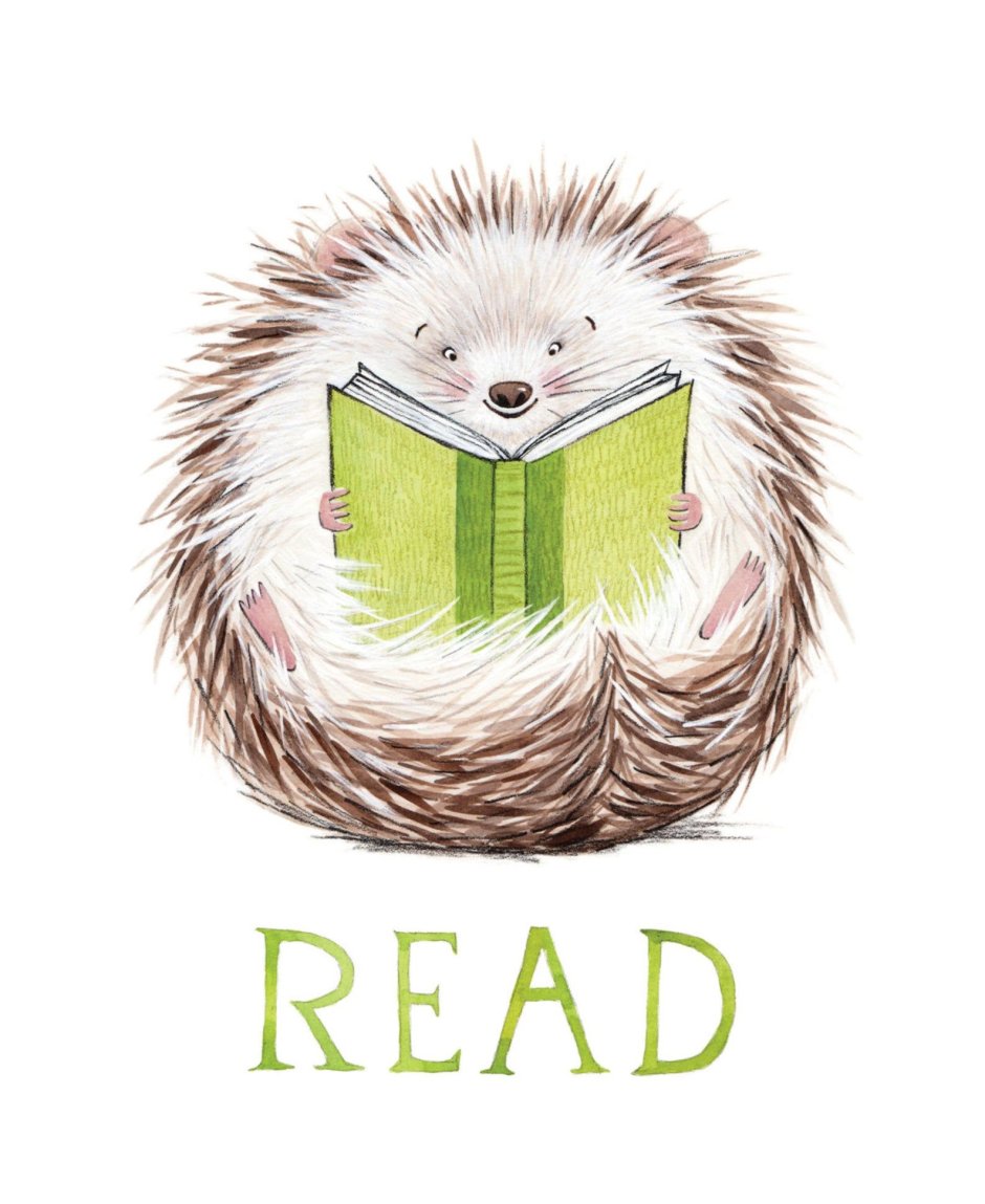 Еж с книгой