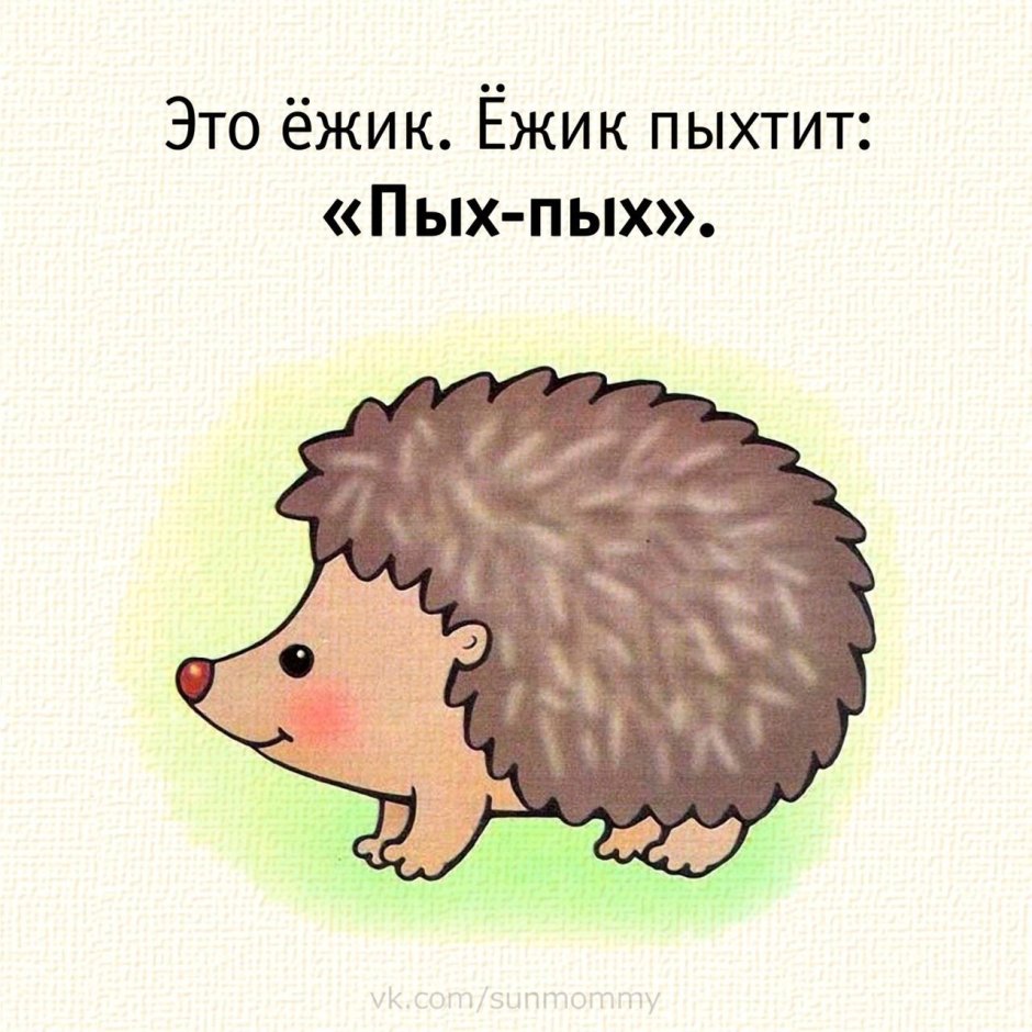 Еж карточки для детей