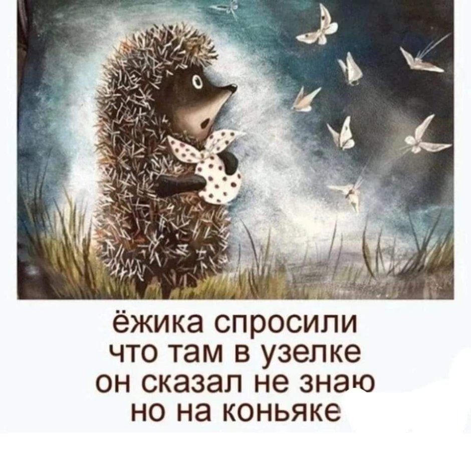 Высказывания из ежика в тумане