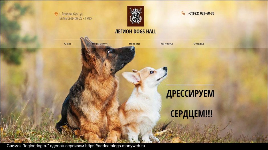 Овчарка на фоне природы