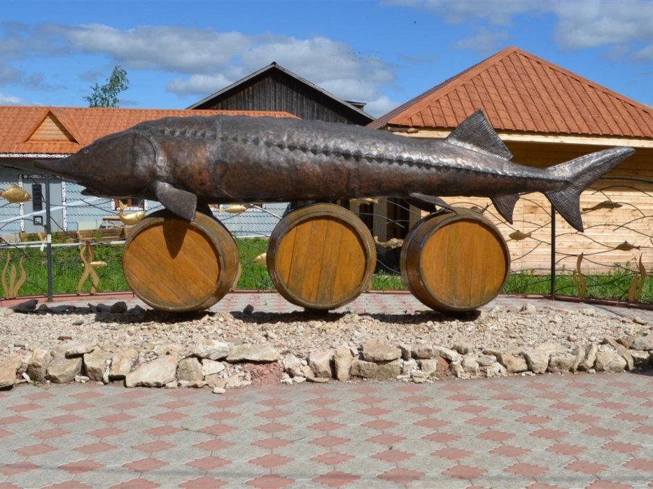 Осетр в Каспийском море