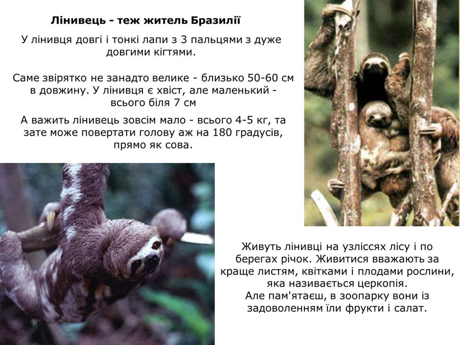 Дима комаров мир наизнанку