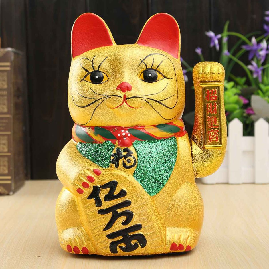 Японская экзотическая кошка