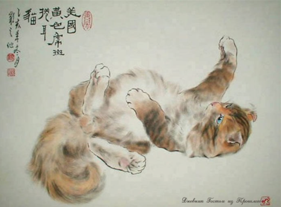 Китайские коты ГУ Йинчжи