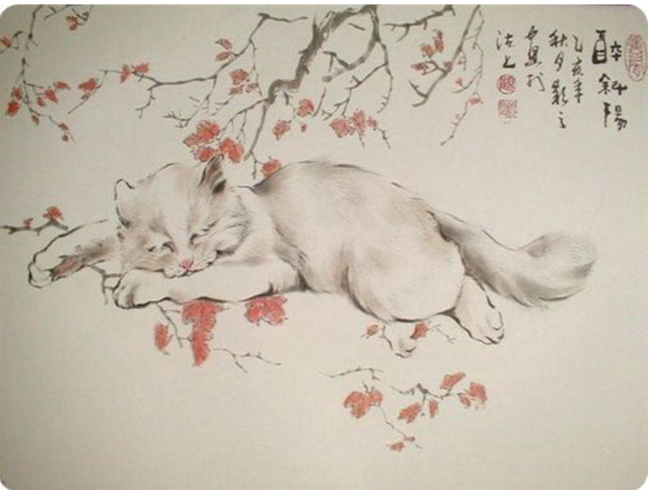 Gu Yingzhi Китай кошки