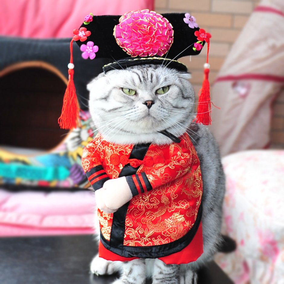 Кошка талисман Манэки