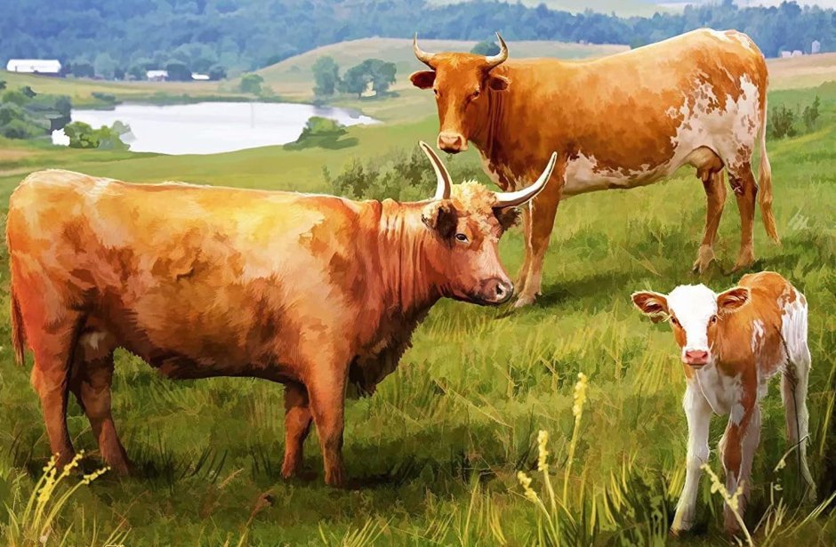 Корова бык теленок