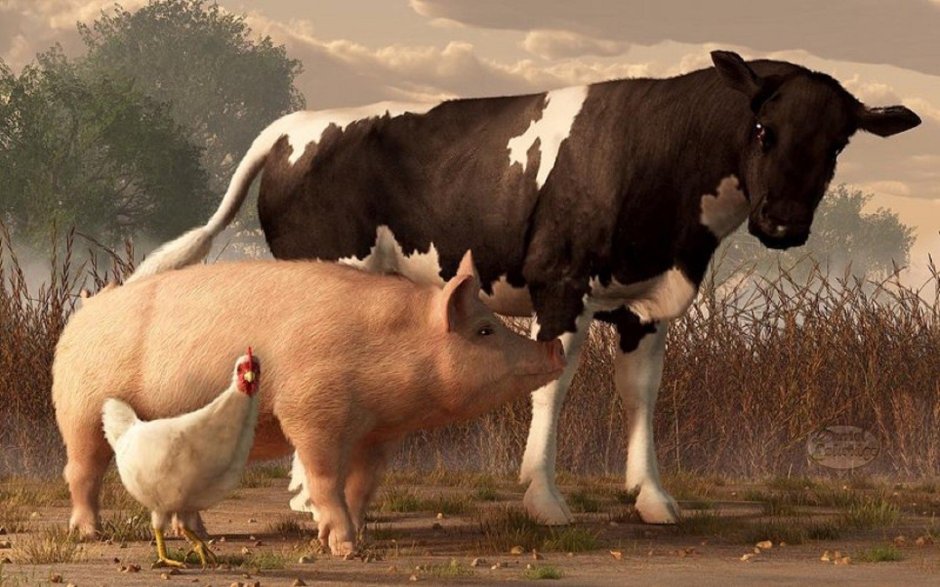 Фермерские животные