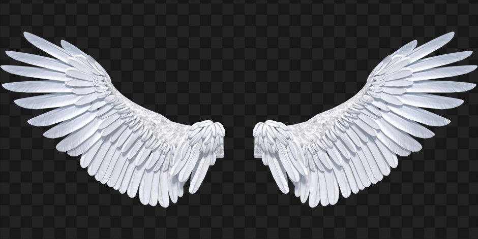 РАСПРАВЛЕННЫЕ Крылья ангела