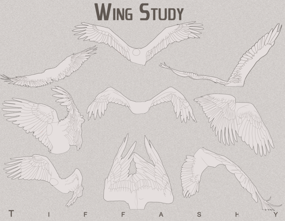 Крылья туториал