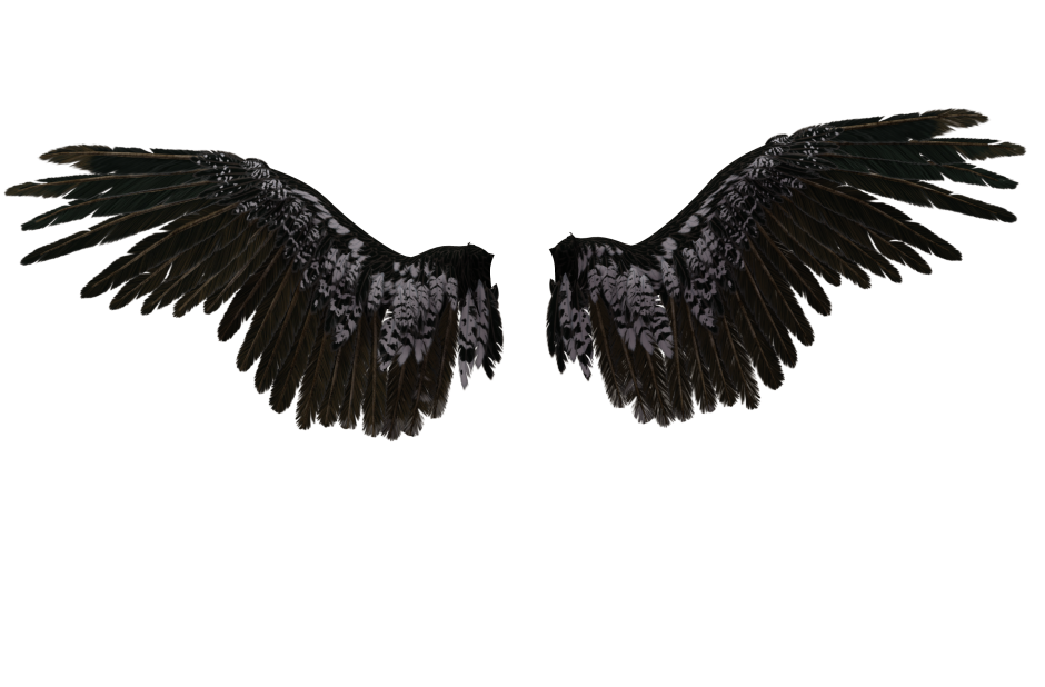 Наклейки для фотошопа Крылья